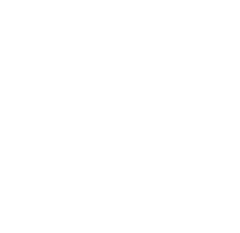 R1-Logo