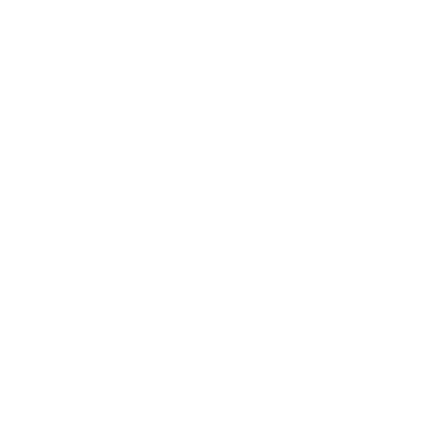 White Zoom Text Logo Transparent Background - 1500x1500